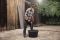 Міксер-мішалка акумуляторний Einhell TE-MX 18 Li - Solo (4258760)