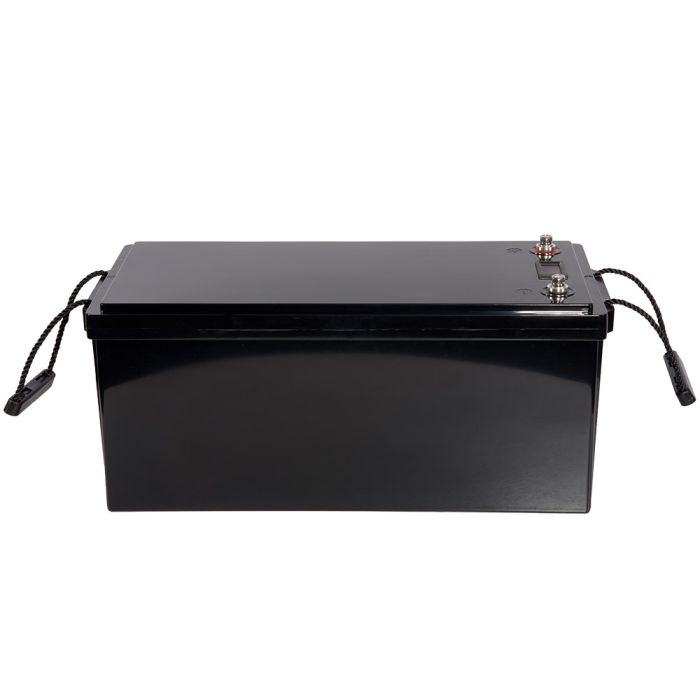 Акумуляторна батарея Vitals ALFP-12200abd LiFePO4 12 В 200 А·год (2560 Вт·год) з LCD-дисплеєм