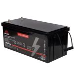 Акумуляторна батарея Vitals ALFP24100ab LiFePO4 24 В 100 А·год (2560 Вт·год)