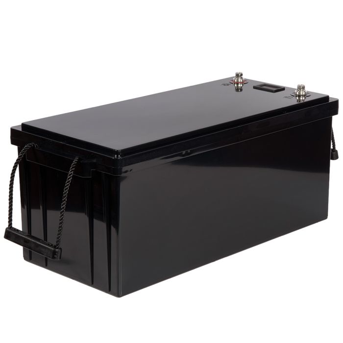 Акумуляторна батарея Vitals ALFP24100abd LiFePO4 24 В 100 А·год (2560 Вт·год) з LCD-дисплеєм
