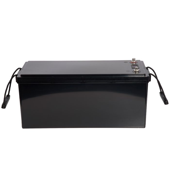 Акумуляторна батарея Vitals ALFP24100abd LiFePO4 24 В 100 А·год (2560 Вт·год) з LCD-дисплеєм
