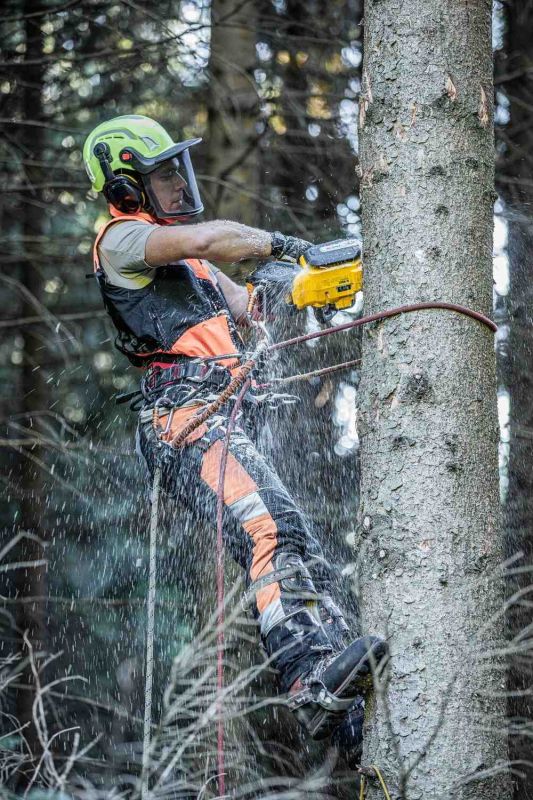 Пилка ланцюгова акумуляторна безщіткова з верхньою рукояткою DeWALT DCMCST635N