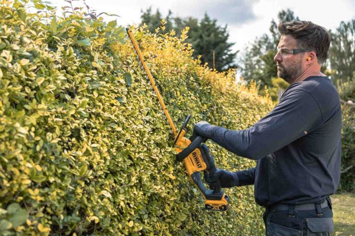 Кущоріз акумуляторний DeWALT DCMHT562P1