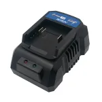 Зарядний пристрій PROFI-TEC BC20V