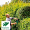 Кущоріз Bosch Advanced Hedge Cut 70 Кущоріз Bosch Advanced Hedge Cut 70